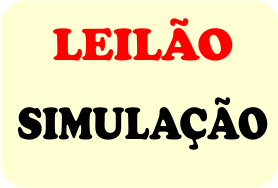 LEILÃO SIMULAÇÃO 2025